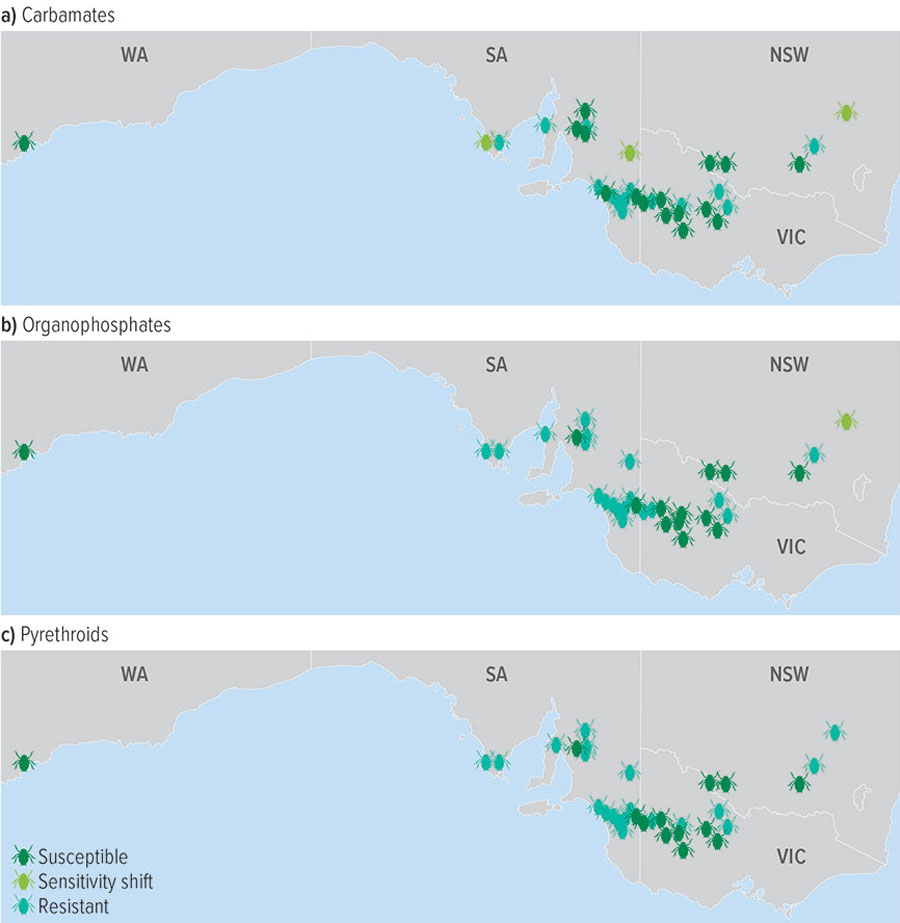 Figure 1: Locations of insecticide-susceptible and insecticide-resistant blue-green aphids in south-eastern Australia, as of 2024. 