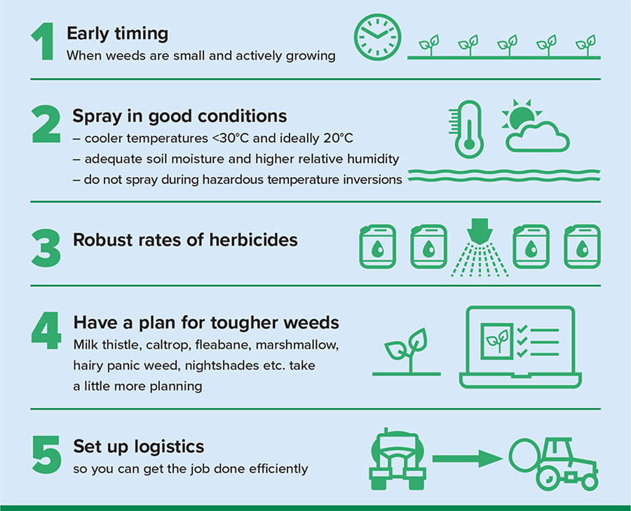 Successful summer weed control at a glance