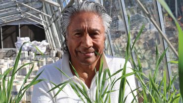 Global recognition for grains scientist