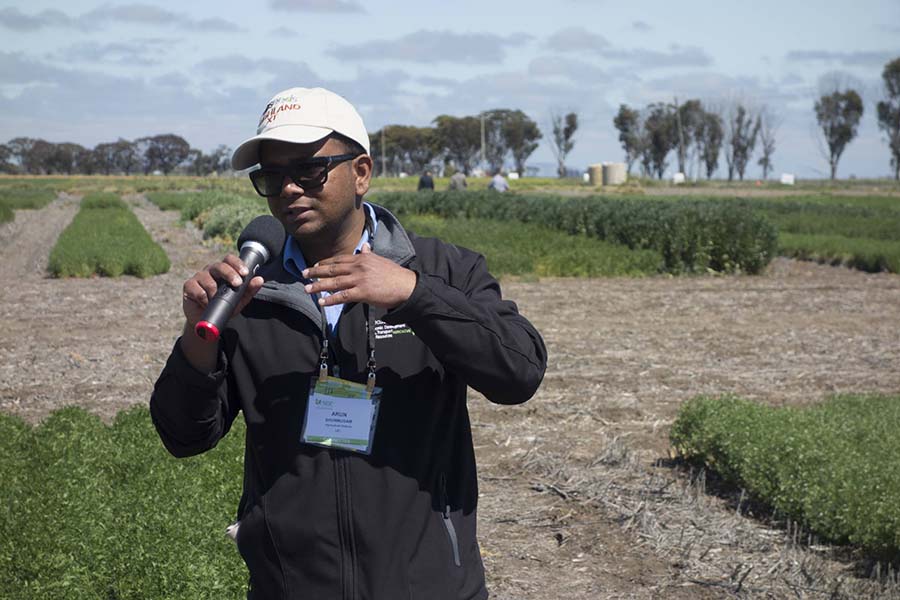 Agriculture Victoria pulse breeder Arun Shunmugam introduced the new PBA Highland XT (PBR) lentil variety at the field day as part of the Australian Pulse Conference. PHOTO Clarisa Collis 