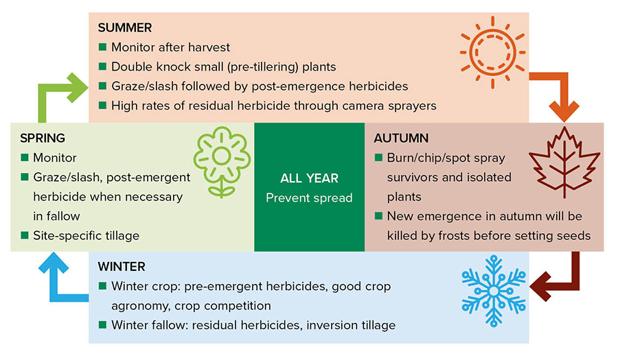 Figure 1: Seasonal feathertop Rhodes grass management tactics.