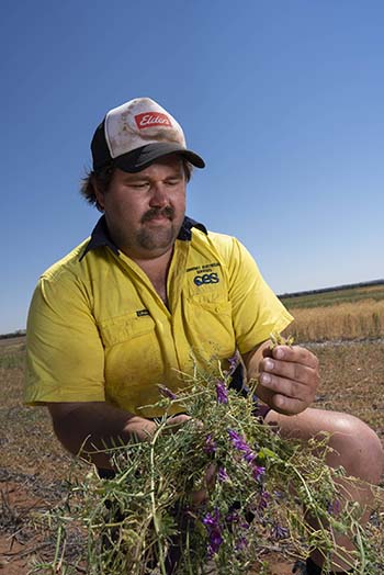 Clint Butler says vetch has potential on heavy alkaline country at his Narembeen, WA, property. PHOTO Evan Collis
