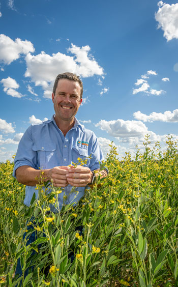 A photo of Angus Woods standing amongst a crop of flowering pigeon peas. He is holding one of the flowers and smiling at the camera. 