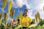 Proactive approach to weeds takes time