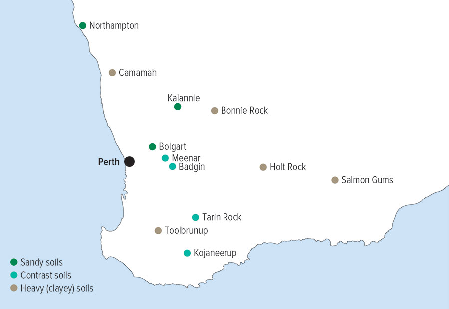 Distribution of soil profile re-engineering experiments across the grainbelt of WA