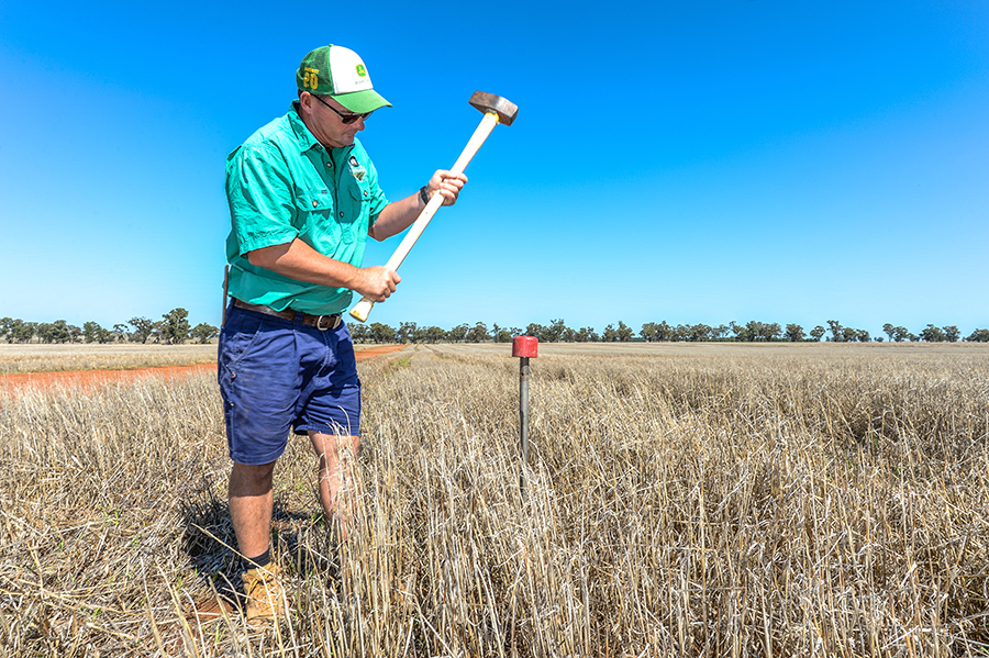 soil test