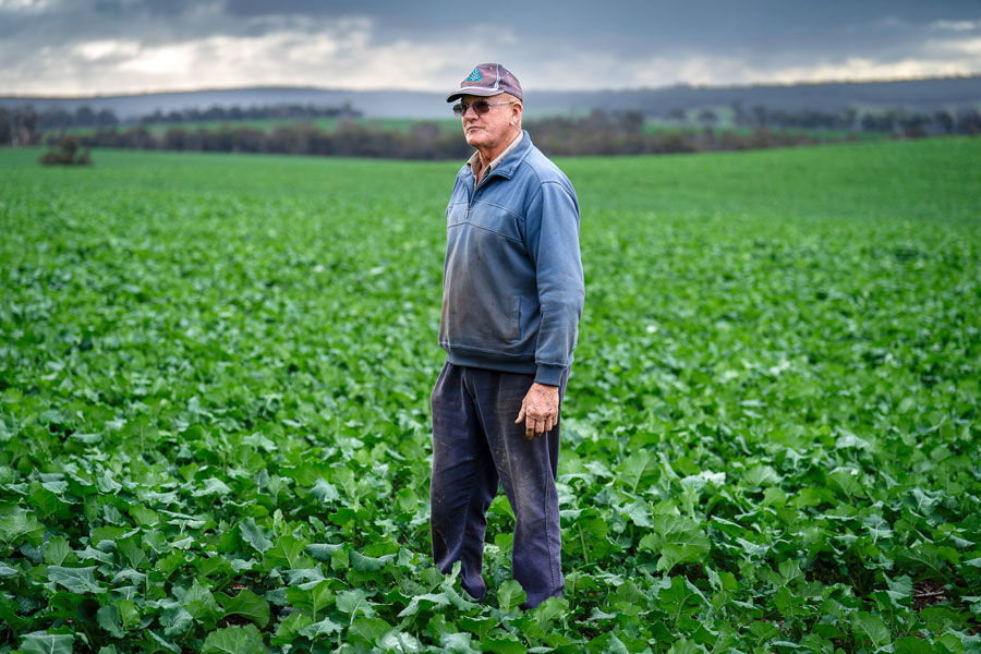 man standing in a green field looking into the distance