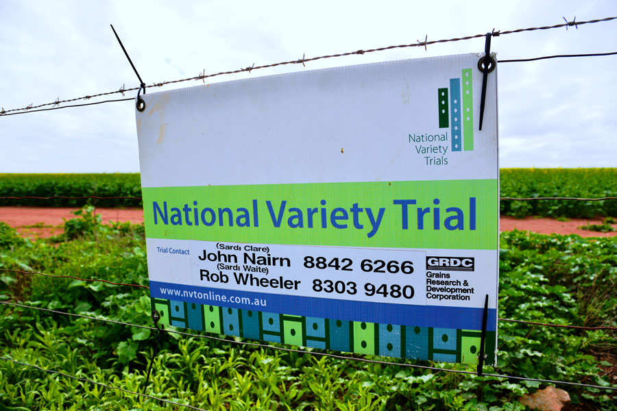 green and blue sign on a wire fence around a crop