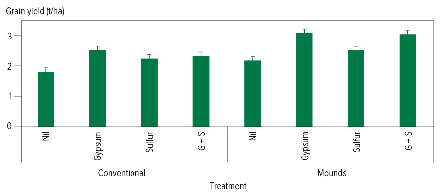 Yield results from the trials at Merredin