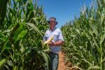 Testing time for maize fertilisers to optimise yields