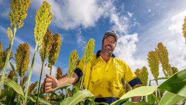 Barley proves to be a cereal contender 