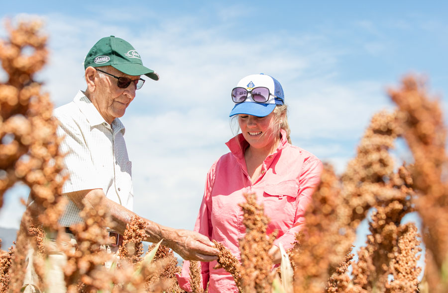 A photo of Jim and Emily examining the heads of a sorghum crop. 