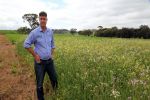 Machinery innovations to revolutionise weed control