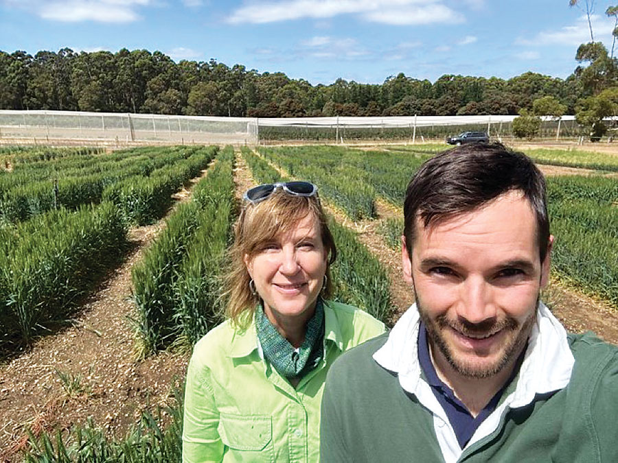 researchers looking to camera with crops behind them