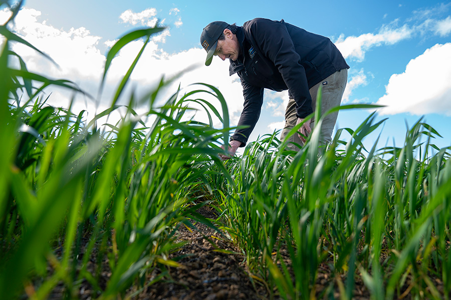 Inspired by innovative soil amelioration work hosted on his Holt Rock property, Cameron Mudge has used a Reefinator on some of his land to break up rocky outcrops and improve productivity of paddocks.