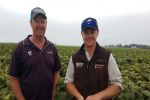 Record New Zealand crops provide lessons for WA growers