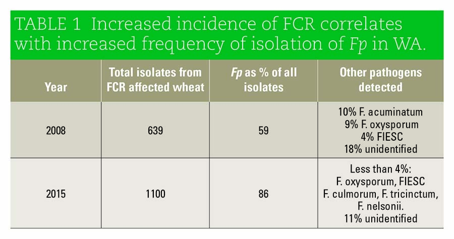 Crown root rot table.