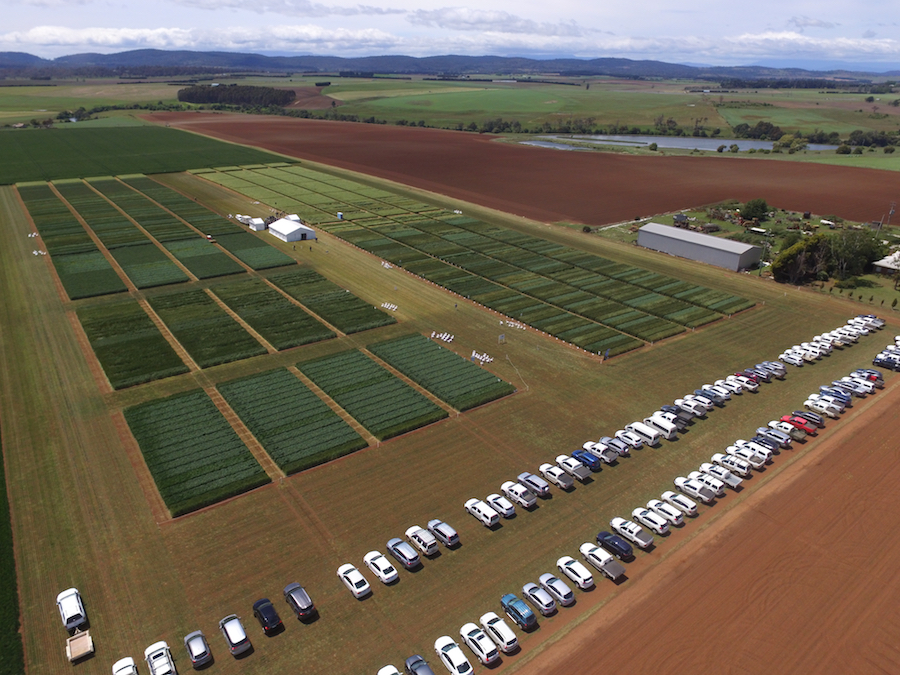 The main trial site for the hyper-yielding cereals project at Hagley, Tasmania.