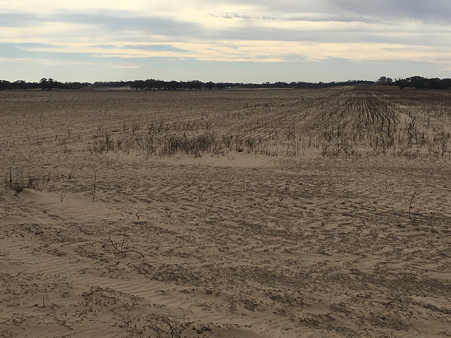 Burnt non-wetting sands prone to erosion two days after the 2018 fire.