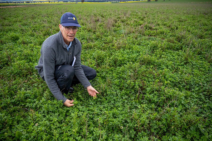 Delta Agribusiness senior farm consultant Tim Condon in a paddock of pasture at Keith Lord's Junee, NSW, farm.