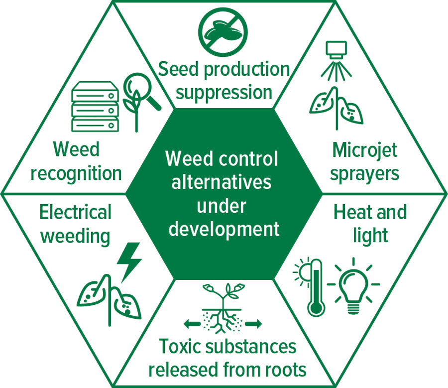 An infographic that displays weed control alternatives under development. The first is a picture of seeds with a cross through it. The second is an image of a sprayer over a leaf for microjet sprayers. The third is a thermometer and lightbulb signifying heat and light. The fourth is a plant with roots showing arrows moving away from the roots to demonstrate toxic substances released from roots. The fifth is a plant, with an electricity symbol, to demonstrate electrical weeding, the sixth is a plant and a magnifying glass to signify weed recognition.