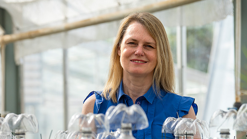 Image of UWA’s Dr Louise Barton who will present during these forums.