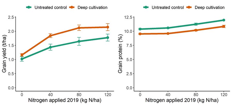 Crop response to Nitrogen in deep ripped trials