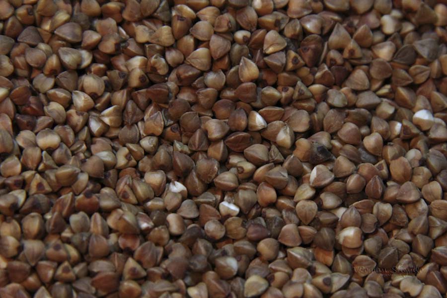 Buckwheat before being milled into flour.