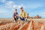 Aerial view puts growers on CTF track
