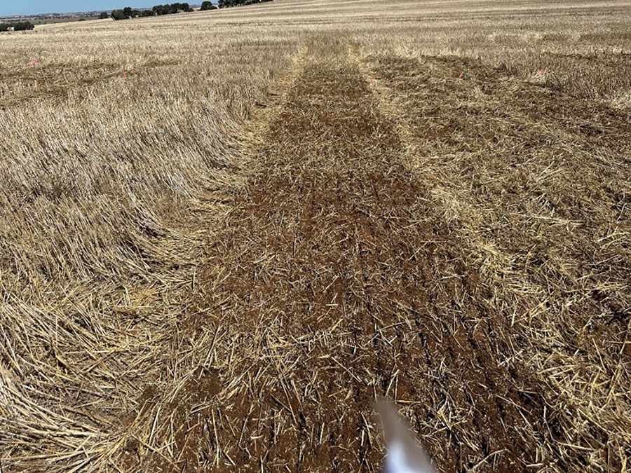 Image of treatments imposed to a grower paddock