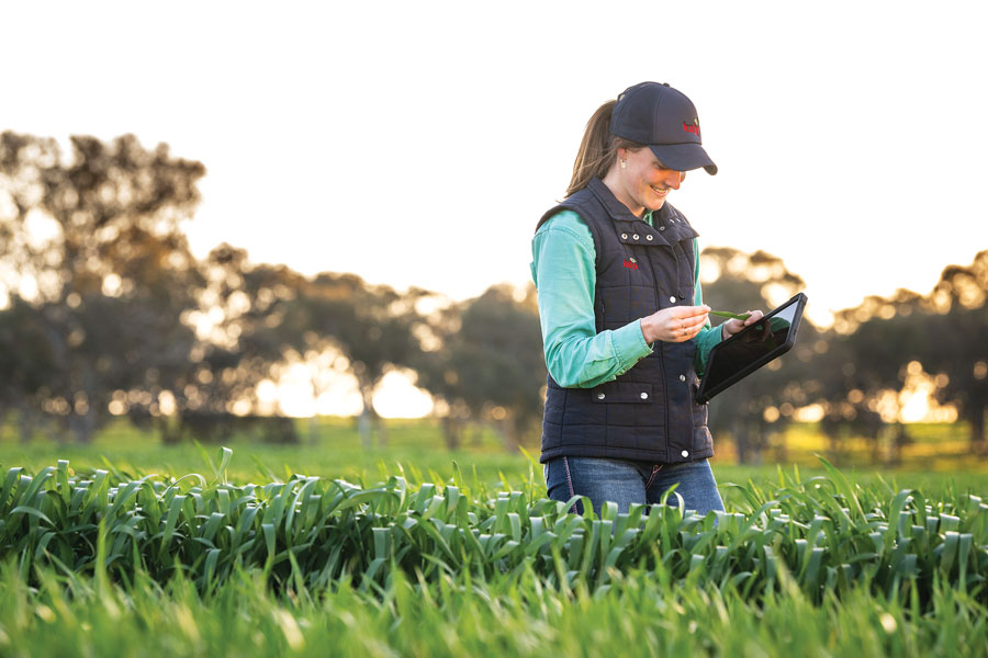 Kalyx research agronomist Nell Bate. Companies like Kalyx have placed a crucial role in NVT’s early stages.