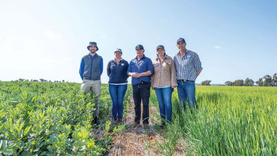 Farming systems trials go paddock-scale