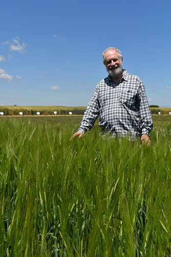 Man in a green field with blue sky behind