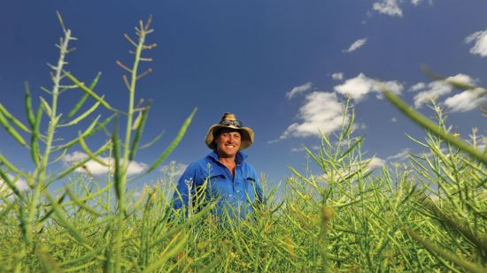 Farm scholar builds a global ‘brains trust’ 