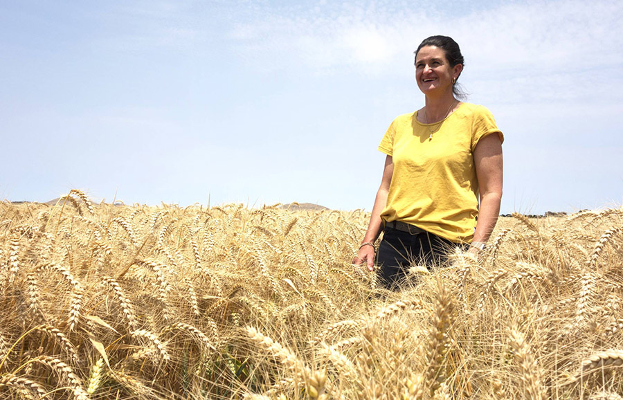 Rachel Hinkley in a wheat crop that averaged eight tonnes per hectare at Derrinallum in the Victorian HRZ during the 2019-20 season. PHOTO Clarisa Collis 