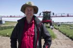 Legume cropping helps lift farm business resilience in hot, dry seasons