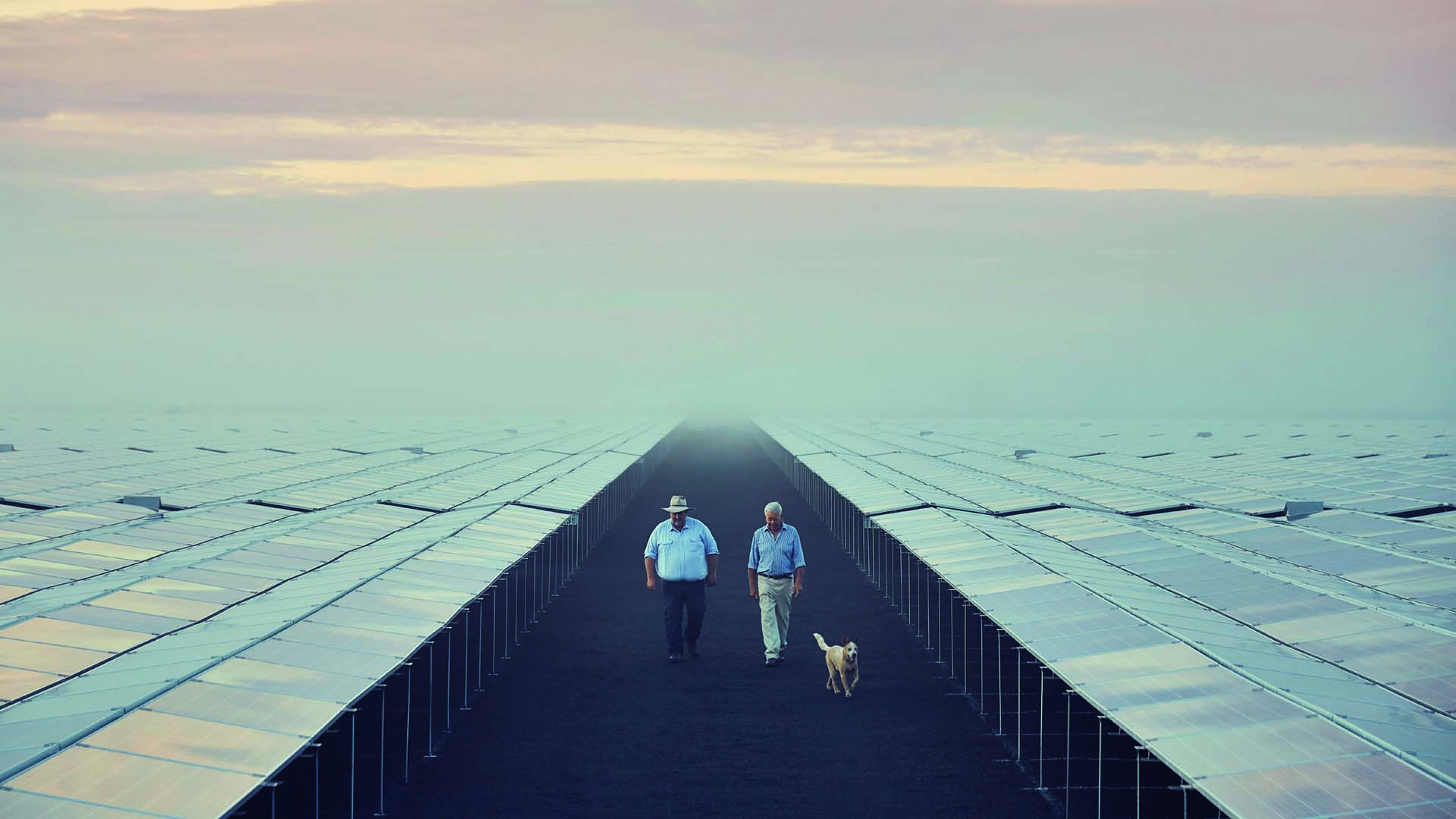 David, left, and Michael Mailler have set up a family run solar farm across 120 hectares at Boggabilla in north-west New South Wales. PHOTO Nick Cubbin, The Farmer, courtesy NSW Farmers Association