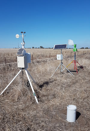 spore traps in the field