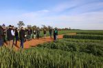 Grower input to guide GRDC investments 