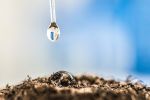 SoilWaterNow: space technology in your paddock