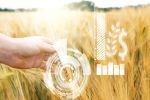 Analytics to power grains decisions