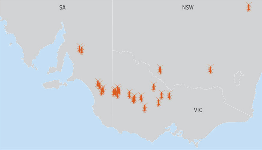 Figure 2: Locations where Aphidius ervi has been found parasitising blue-green aphid.