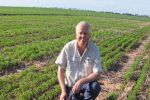 Herbicide and acid tolerance key to WA lentil growth