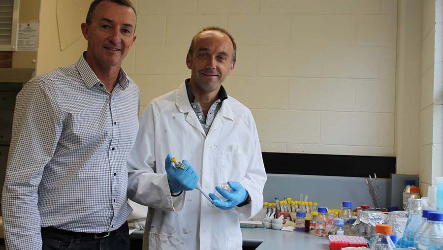 AHRI communications officer Peter Newman, left, with AHRI researcher Roberto Busi testing for herbicide resistance in annual ryegrass at The University of Western Australia. Both will speak at the coming Adelaide GRDC Grains Research Update. PHOTO GRDC