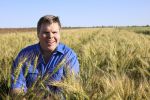 Valuable learnings from wheat phenology research
