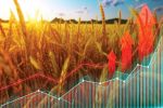 GRDC invests in data cataloguing to transform R&D