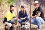 Science pins elusive Dongara weevil