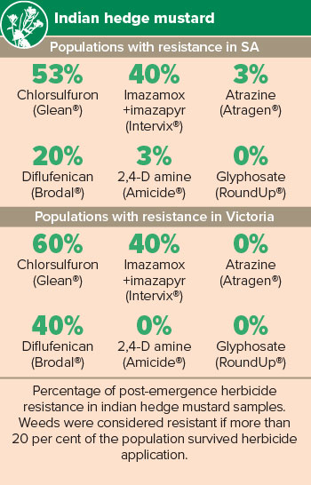 infographic
