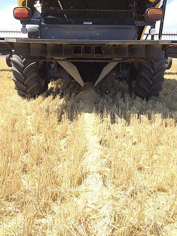 In non-controlled-traffic farming (CTF) systems, chaff lining is used to concentrate chaff and weed seeds into narrow rows between the wheel tracks during harvest. PHOTO Associate Professor Michael Walsh.