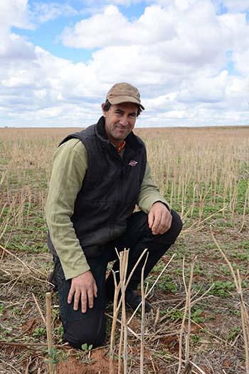 Walpeup grower Mick Pole says having the right support crew is critical when you begin the process of moving into a joint-venture arrangement. PHOTO AgCommunicators